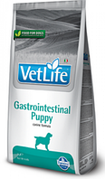 Farmina Vet Life Dog Gastrointestinal Puppy, 2 кг