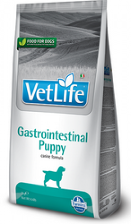 Farmina Vet Life Dog Gastrointestinal Puppy, 2 кг - фото 1 - id-p215251822