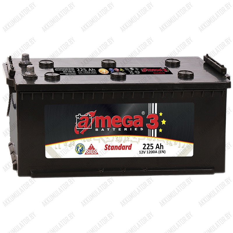 Аккумулятор A-Mega Standard / 225Ah / 1 200А