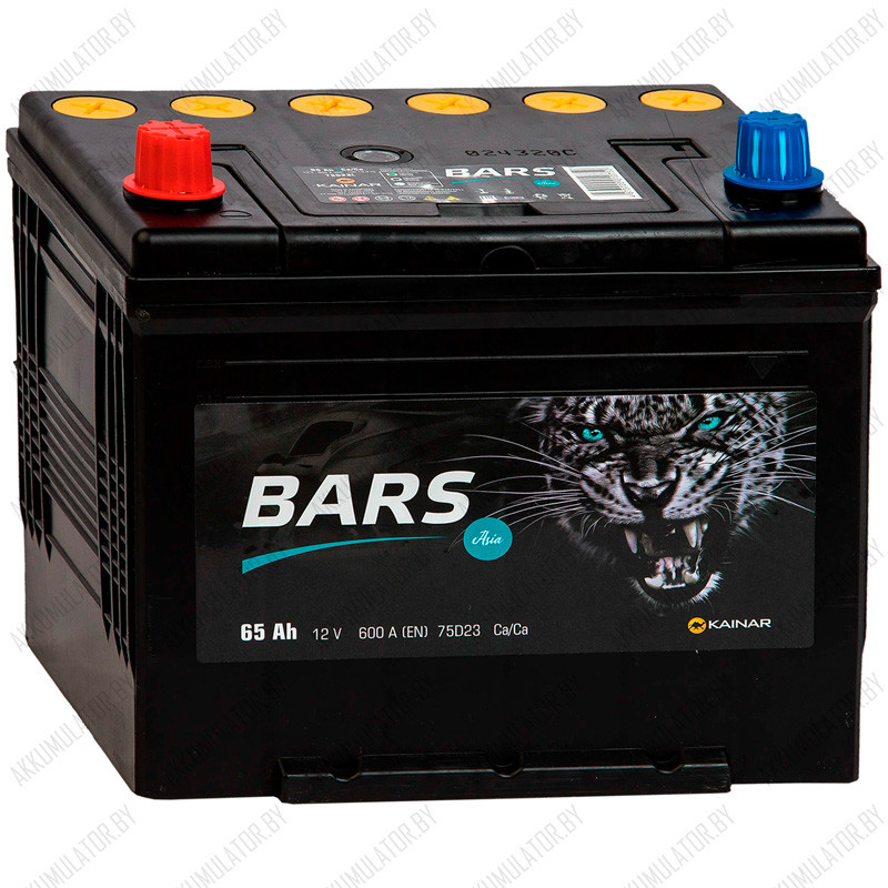 Аккумулятор Bars Asia / 65Ah / 600А / Прямая полярность - фото 1 - id-p194117815