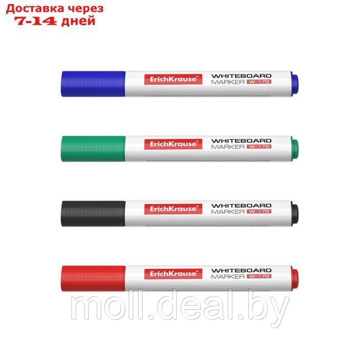 Набор маркеров для досок ErichKrause W-170, 4 штуки, 2.0 мм, чернила на спиртовой основе, чёрный, синий, - фото 2 - id-p215249471