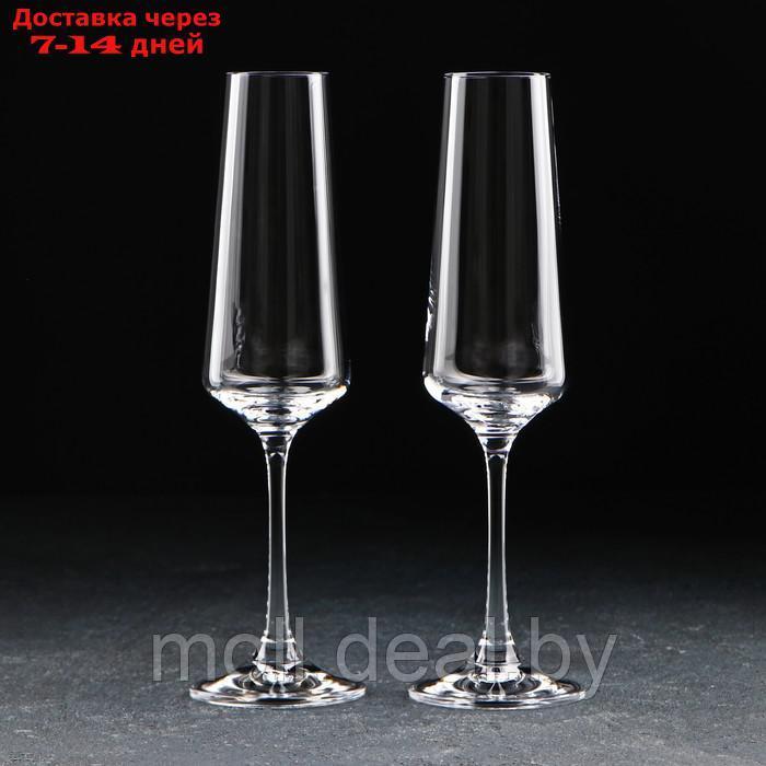 Набор бокалов для шампанского Corvus, 160 мл, 2 шт - фото 1 - id-p215247414