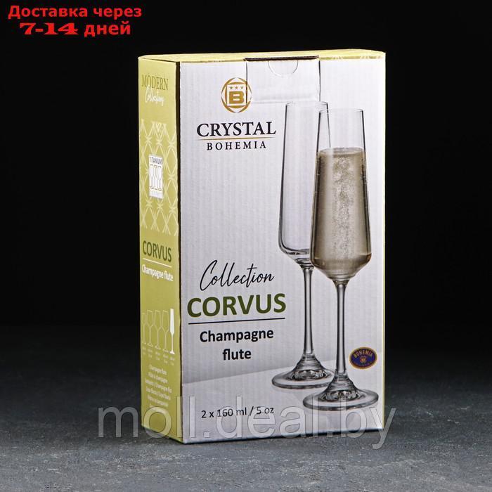 Набор бокалов для шампанского Corvus, 160 мл, 2 шт - фото 3 - id-p215247414