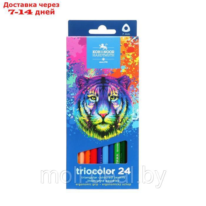 Карандаши 24цв K-I-N 3134 Triocolor tiger, трехгранные, карт/уп - фото 4 - id-p215261896