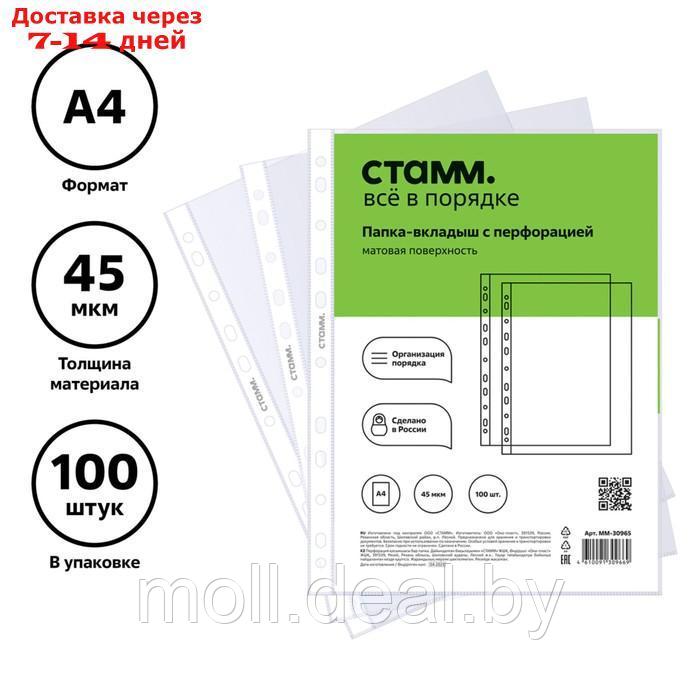 Файл-вкладыш А4, 45 мкм, СТАММ, матовый, вертикальный, 100 штук - фото 1 - id-p215261906