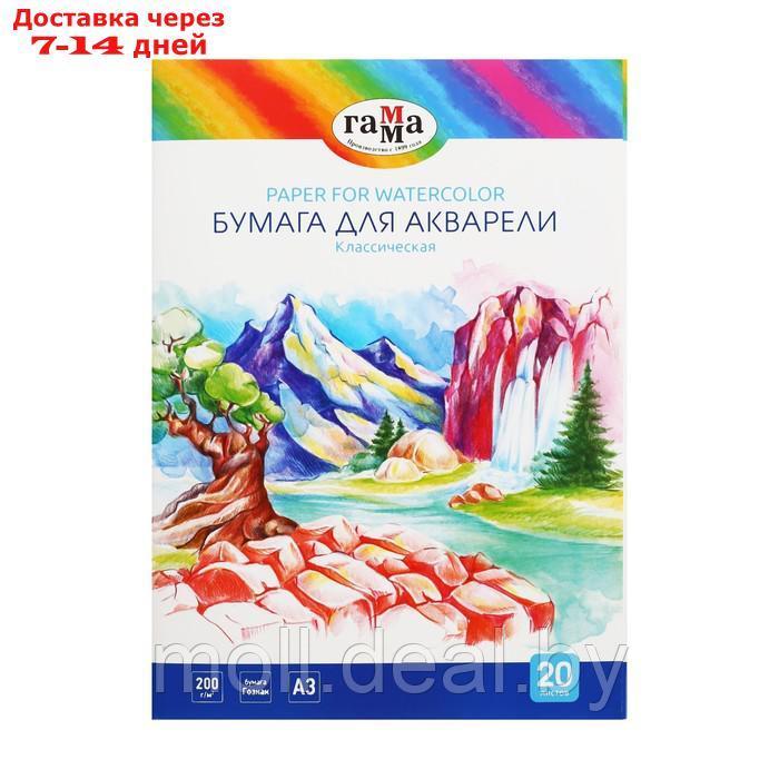 Бумага для акварели А3 20 листов, 200 г/м2, "Классическая" Гамма, в папке, 180523_А320020 - фото 1 - id-p215258920