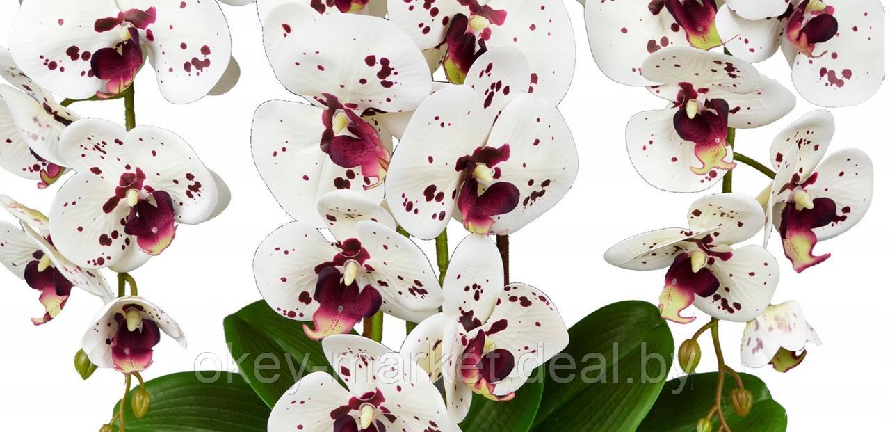 Цветочная композиция из орхидей в горшке 3 ветки D-570 - фото 2 - id-p215282048
