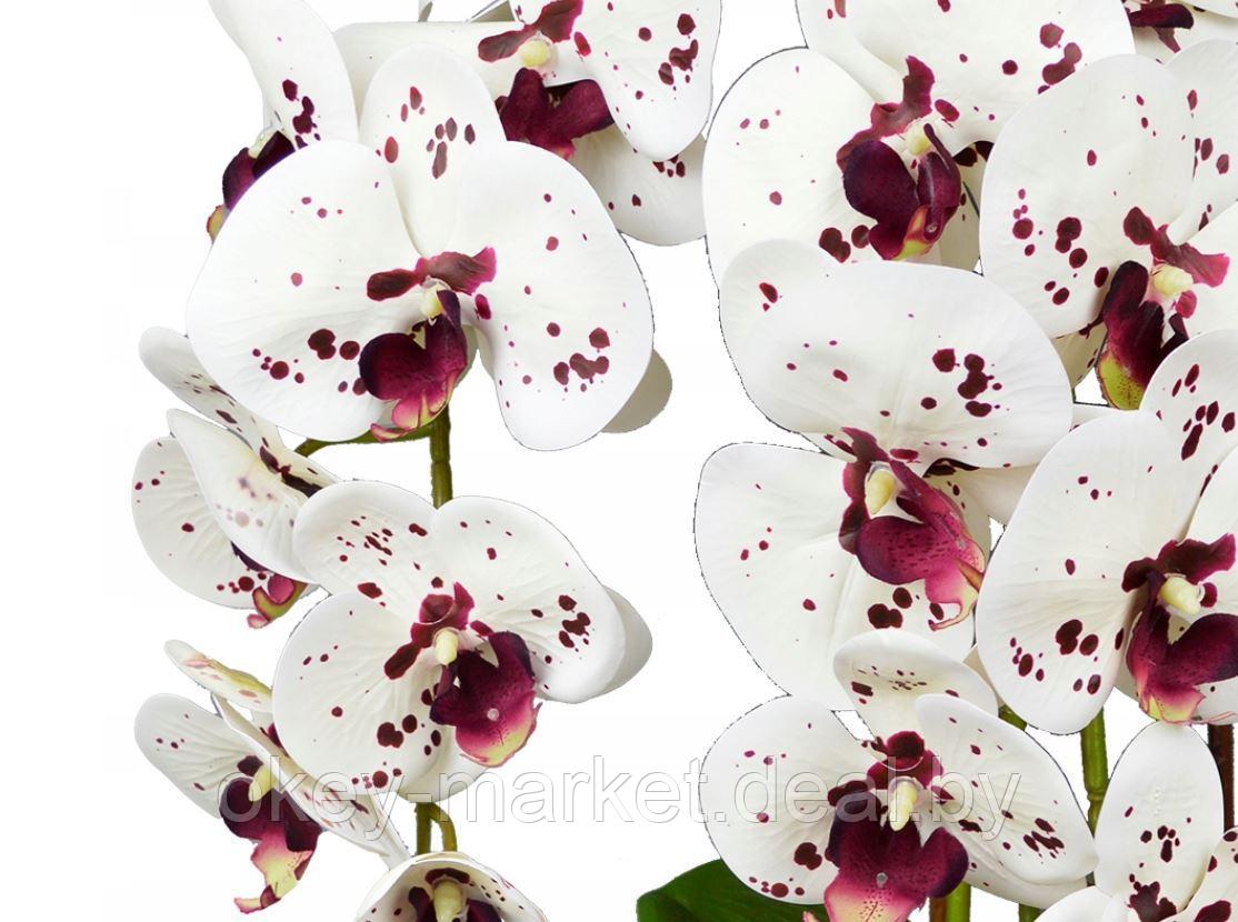 Цветочная композиция из орхидей в горшке 3 ветки D-570 - фото 4 - id-p215282048