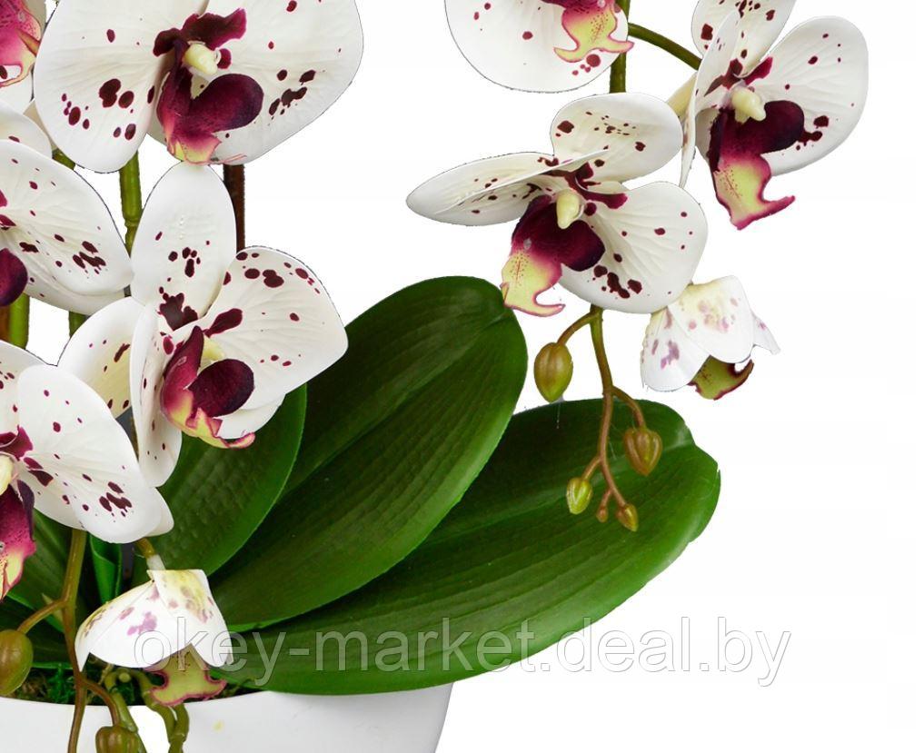 Цветочная композиция из орхидей в горшке 3 ветки D-570 - фото 5 - id-p215282048