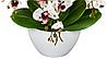 Цветочная композиция из орхидей в горшке 3 ветки D-570, фото 2