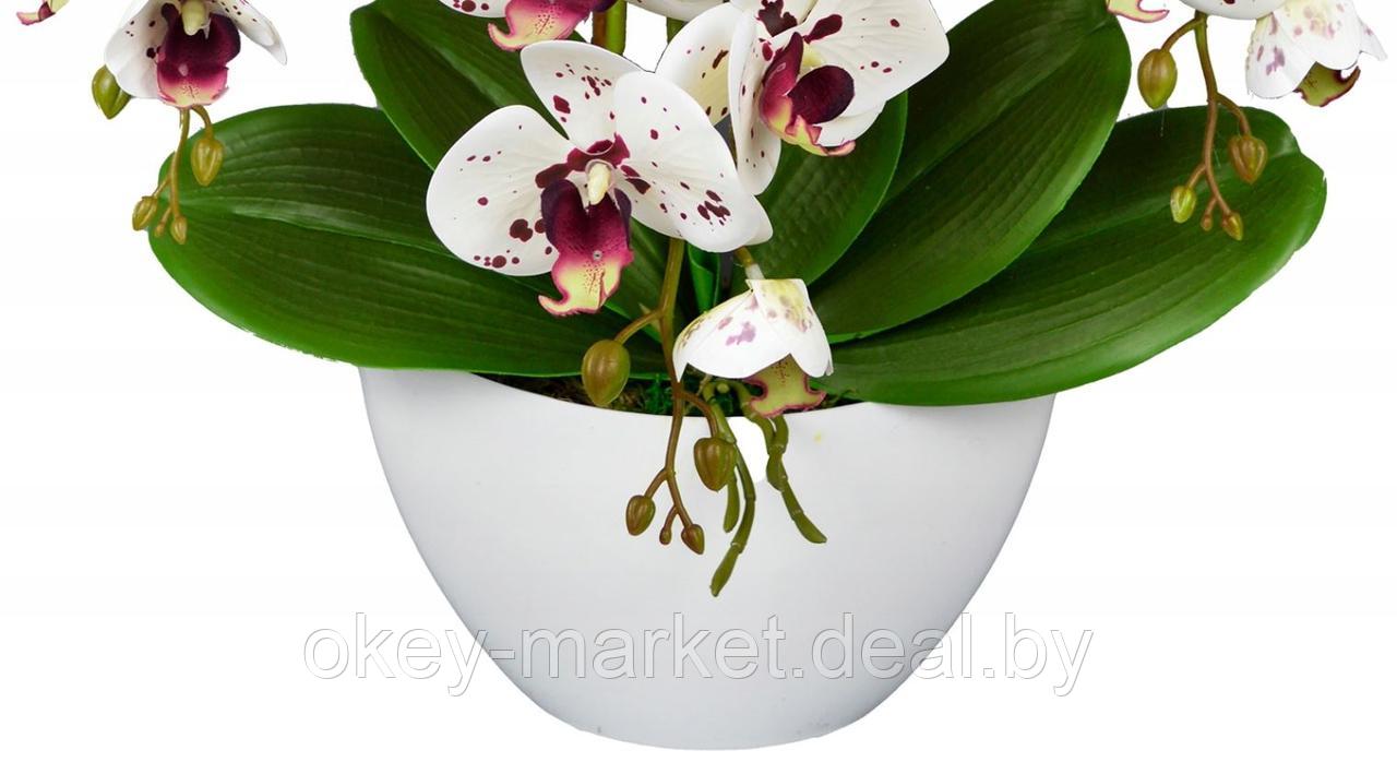 Цветочная композиция из орхидей в горшке 3 ветки D-570 - фото 6 - id-p215282048