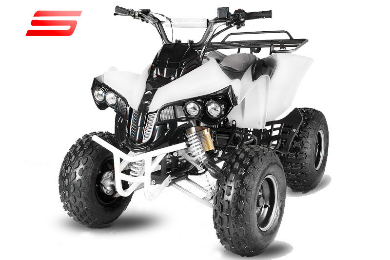 Квадроцикл Warrior RG 8" Automatic + RG Drum Brake