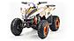 Квадроцикл atv MMG Coyote 125cc, фото 5