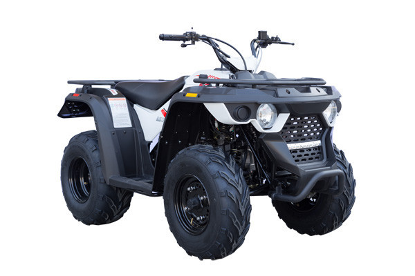 Квадроцикл Линхай M150