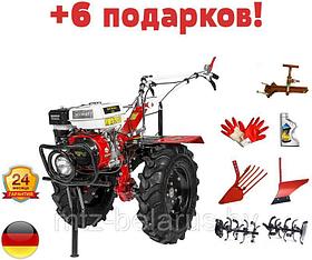 Сапборды
