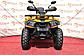 Квадроцикл avantis hunter 200 MMG Shark 200cc, фото 3