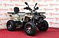 Квадроцикл avantis hunter 200 MMG Shark 200cc, фото 4
