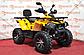 Квадроцикл avantis hunter 200 MMG Shark 200cc, фото 5