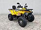 Квадроцикл avantis hunter 200 MMG Shark 200cc, фото 6