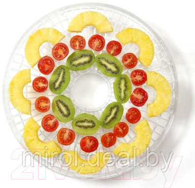 Сушилка для овощей и фруктов Gorenje FDK500GCW - фото 10 - id-p215302121