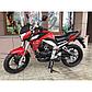 Новый мотоцикл минск Racer Fighter RC300CK-N, фото 6