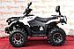 Квадроцикл стелс Linhai 300 ATV-3D 44, фото 6