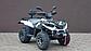 Квадроцикл 250 Linhai 300 ATV-3D 44, фото 2