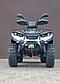 Квадроцикл 250 Linhai 300 ATV-3D 44, фото 3