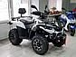 Квадроцикл atv 300 Linhai 300 ATV-3D 44, фото 2