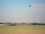 Комплект воздушный змей Черный Коршун и флагшток телескопический  5м, фото 5