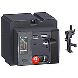 LV429434 МОТОР-РЕДУКТОР MT100/160 220/240В 50/60ГЦ, фото 2