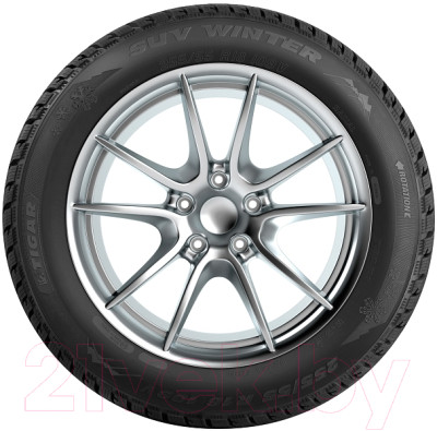 Зимняя шина Tigar SUV Winter 215/70R16 100H - фото 3 - id-p215323898