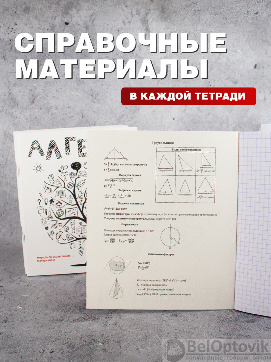 Комплект предметных тетрадей 12 шт. со справочными материалами, 48 листов - фото 3 - id-p215325187