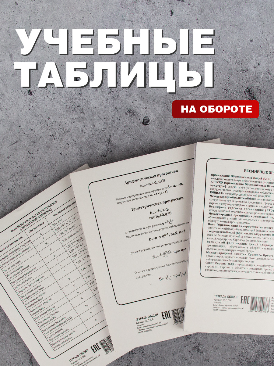 Комплект предметных тетрадей 12 шт. со справочными материалами, 48 листов (алгебра, геометрия, биология, - фото 5 - id-p198377701