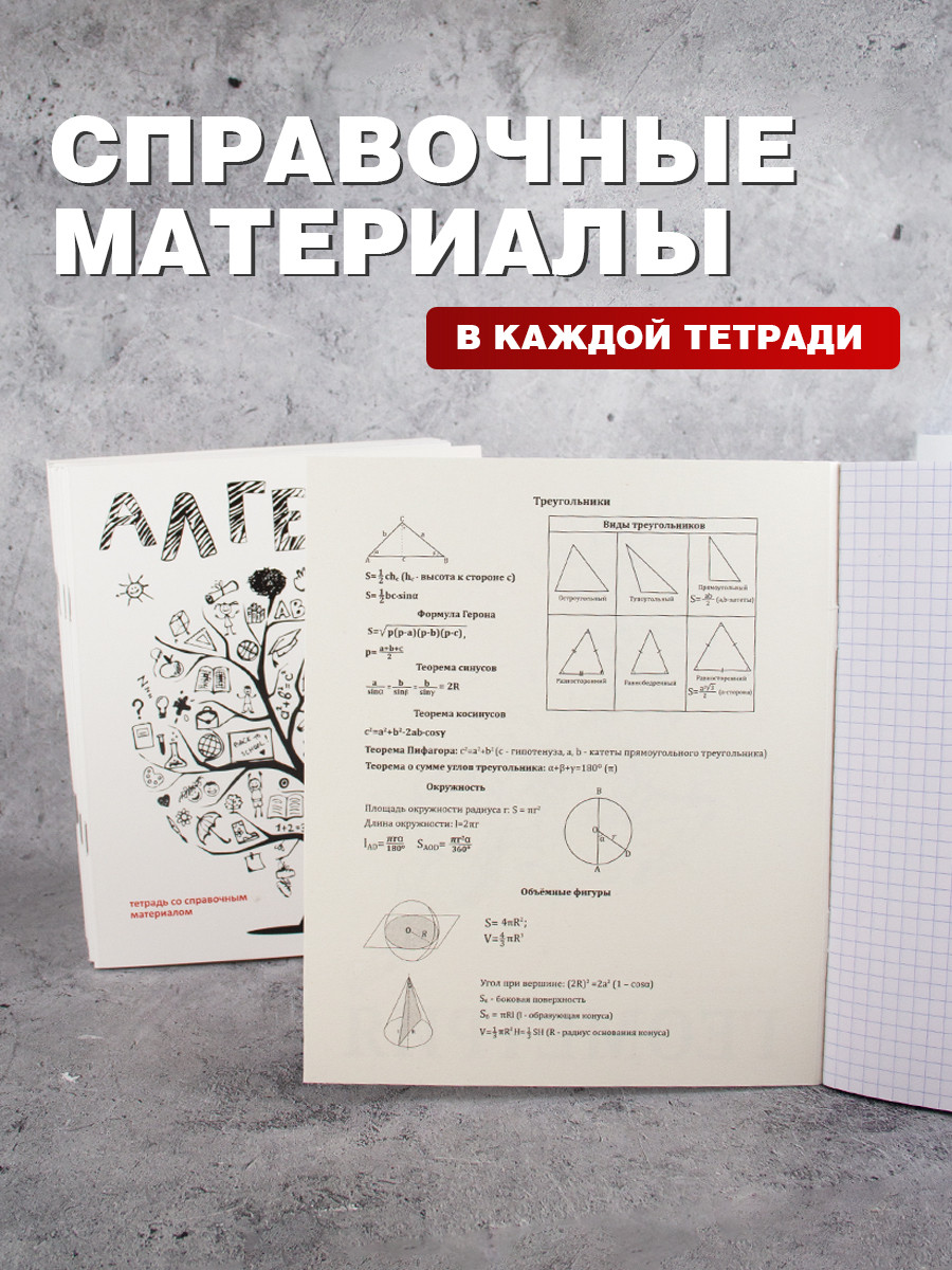 Комплект предметных тетрадей 12 шт. со справочными материалами, 48 листов (алгебра, геометрия, биология, - фото 6 - id-p198377701