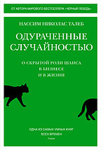 Одураченные случайностью. О скрытой роли шанса в бизнесе и в жизни, фото 2