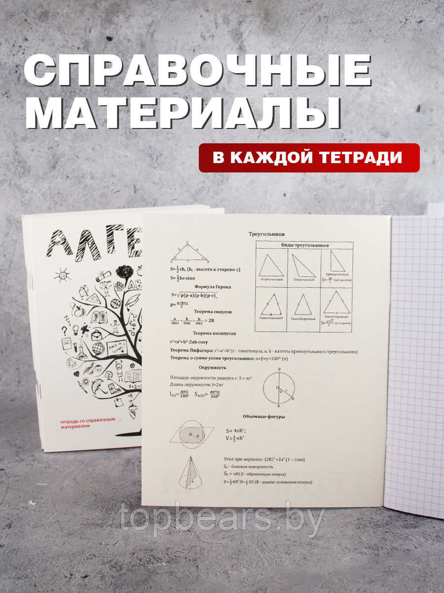 Комплект предметных тетрадей 12 шт. со справочными материалами, 48 листов (алгебра, геометрия, биология, - фото 6 - id-p215331388