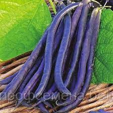 Фасоль спаржевая Пурпурная королева, фиолетовая, семена, 10гр., Италия (ам) - фото 3 - id-p215357648