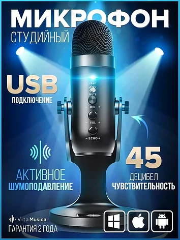 Конденсаторный USB микрофон VitaMusica  / студийный, фото 2