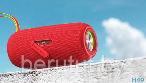 Колонка портативная музыкальная Bluetooth HOPESTAR H49 - фото 8 - id-p215369786