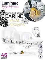 P5878 Столовый сервиз Luminarc Carine PALM SPRINGS NEO, 46 предметов