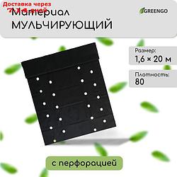 Материал мульчирующий,  плотность 80, УФ,  1,6*20м, 4 ряда перфорации (о) Greengo Эконом