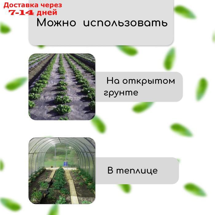 Материал мульчирующий, плотность 80, УФ, 1,6*20м, 4 ряда перфорации (о) Greengo Эконом - фото 4 - id-p215359021