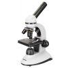 (RU) Микроскоп Discovery Nano Polar с книгой - фото 1 - id-p215394175