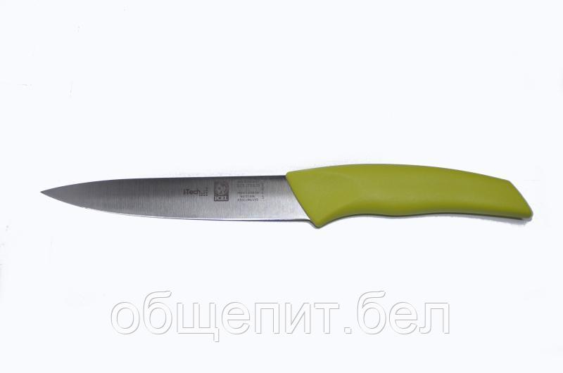Нож кухонный 150/260 мм. салатовый I-TECH Icel /1/12/ - фото 1 - id-p215237079