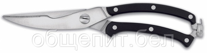 Ножницы для птицы 25 см. Icel /1/ - фото 1 - id-p215237747