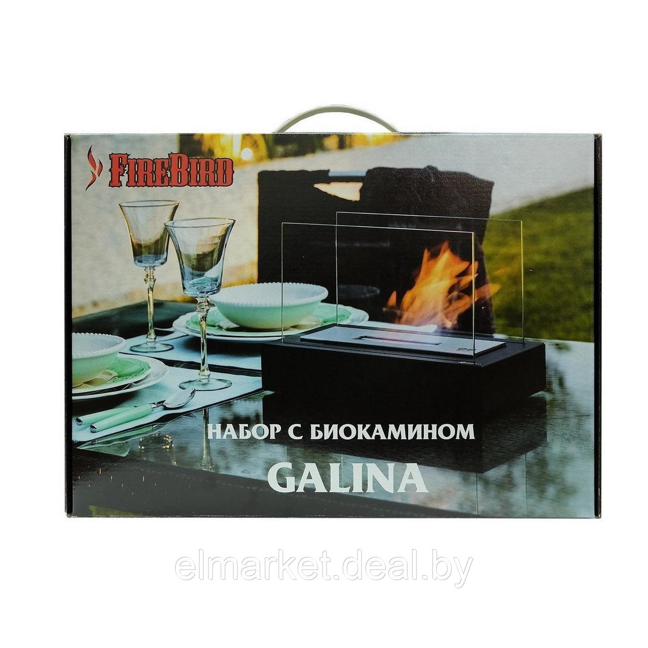 Электрокамин Kratki Galina (с сертификатом TUV) черный - фото 1 - id-p215423230