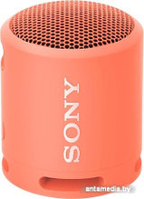 Беспроводная колонка Sony SRS-XB13 (коралловый)