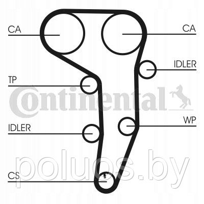 Комплект ГРМ с водяным насосом Continental CT1051WP3 - фото 1 - id-p215432892