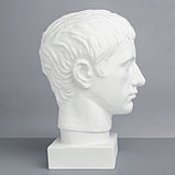 Гипсовая фигура Голова Германика, 19 х 25 х 36 см, фото 4